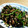 pochipurin's cooksnap of when they made ピーマンとひじきの炒め物.