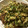 はるとニモdaddy's cooksnap of when they made ほうれん草のお好み焼き風.
