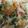 100akina's cooksnap of when they made こくうま☆くずきりの担々チャプチェ.