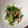 yummy?'s cooksnap of when they made 水菜のゆず胡椒和え.