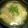 あｯぺ's cooksnap of when they made 新じゃがいもと新玉ねぎの味噌バター煮◎.