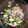 リスト's cooksnap of when they made 手作りオニオンドレッシング☆.