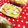 ミルキーアイス's cooksnap of when they made ＨＭでしっとりカボチャケーキ.