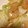 クマたぬき's cooksnap of when they made ブロッコリーと春キャベツとエビの中華炒め.