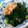 ちゃきんぐ's cooksnap of when they made ほうれん草のお浸し☆.