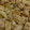 クックLH7A86☆'s cooksnap of when they made とりモモのとろとろ煮.