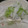 ｽｶｲﾌｨｯｼｭ☆'s cooksnap of when they made 釜揚げシラスとタマネギの冷や奴.