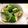 Cookじゃす's cooksnap of when they made 超簡単！たたききゅうりのスピードおつまみ.