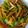 Ｍぱん's cooksnap of when they made ＊いろいろ野菜のキンピラ＊.