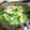 dfy12q's cooksnap of when they made 簡単具だくさんの中華スープ.