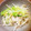 erewvy's cooksnap of when they made ＋1品 小松菜ともやしのナムル.