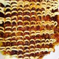 しばりえちゃん's cooksnap of when they made ふんわりもちチーズお好み焼き.
