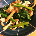shiotaann's cooksnap of when they made ほうれん草と豚肉のオイスターソース炒め＊.