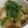 dommy☆'s cooksnap of when they made 豚バラと大根の煮物.