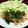 KENERISA's cooksnap of when they made 簡単とり胸肉の梅肉ソース和え.
