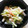 taako1552's cooksnap of when they made 長いもとキュウリの和え物.