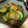MofeMofee's cooksnap of when they made きゅうりとキムチの和え物.
