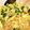 クック8I7WNI☆'s cooksnap of when they made ネギトロ丼？！と思わせぶり☆アボカドご飯.