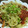 しししむむむ's cooksnap of when they made トマトとニラの焼きそば.