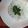 haricho's cooksnap of when they made お庭の木の芽で春の香りご飯.