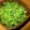 Jaye's cooksnap of when they made おかひじきの塩ナムル.