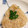 pomponn's cooksnap of when they made 木の芽（山椒）が香るおにぎり（・ｗ・）ゞ.
