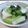 もちあられ's cooksnap of when they made 冷凍庫で簡単★きゅうりとかぶの浅漬け♬.
