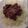 xoxo♥'s cooksnap of when they made お手軽。牛肉の和風丼。.