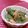赤い電話's cooksnap of when they made かにかまのしそ巻き磯辺揚げ.