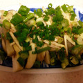 あんの食卓's cooksnap of when they made ＊夏はあっさり　蒸しなすの針生姜のせ＊.