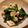 ぽれぽれ2000's cooksnap of when they made 簡単☆キャベツと鶏皮のさっぱり炒め物！.