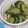 abumix's cooksnap of when they made きゅうりと味噌とゴマの漬物.
