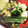 harmony930's cooksnap of when they made たたききゅうりの塩昆布和えーたっぷりごま.