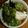 もりのりころ's cooksnap of when they made おくらうどん.