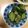 ともぱんたから's cooksnap of when they made 簡単☆美味☆きゅうり&ナスのからし漬物.