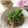 クック3UX6AO☆'s cooksnap of when they made 牛肉とごぼうの混ぜご飯.