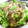 Mie（みぃ）'s cooksnap of when they made 茄子とオクラのそぼろあん炒め.