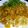 モッフィーのパパ's cooksnap of when they made 糖質6g！糖質0g麺のトマトパスタ.