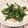 かのんぱ２'s cooksnap of when they made ニラとかにかまぼこの中華風酢の物.