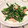 かのんぱ２'s cooksnap of when they made ニラとかにかまぼこの中華風酢の物.
