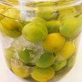 ささなお's cooksnap of when they made おばあちゃんの簡単！はちみつ入り梅酒.