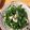 mooooi123's cooksnap of when they made おかひじきのわさびマヨサラダ.