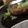 snryon's cooksnap of when they made ご飯がすすむ!　名古屋名物　手羽先唐揚げ.
