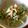 ｼｮｺﾗ⌒☆'s cooksnap of when they made ピリ辛白和え豆腐ヨーグルトラー油サラダ.