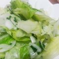 MofeMofee's cooksnap of when they made 玉ねぎ レタス 大葉のナムル❤️.