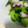 MofeMofee's cooksnap of when they made きゅうりとたこの柚子胡椒和え.