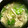 nekox2n's cooksnap of when they made レタスときのこのタマゴスープ♪.
