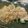 kaba0226's cooksnap of when they made ☆エリンギとオクラでお肉巻き巻き☆.