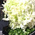 かんたたんかたん's cooksnap of when they made 美味しい簡単揚げ餃子.