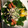 クックKE1VI7☆'s cooksnap of when they made 豚しゃぶのおろし和え♪.